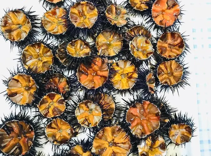 住宿加早餐酒店 Pietramare