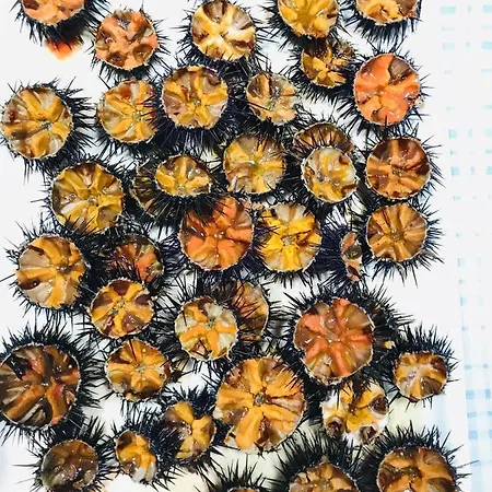 Bed & Breakfast Pietramare